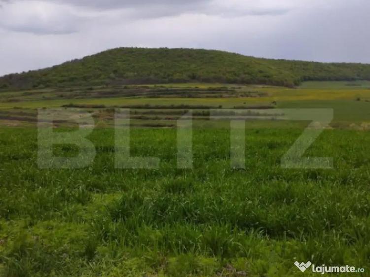 Teren extravilan 3621 mp, in Petrestii de Mijloc - 1