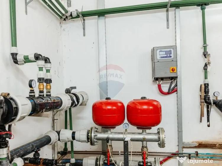 Plantatie de afin din Romania BUSINESS DE VANZARE - 5