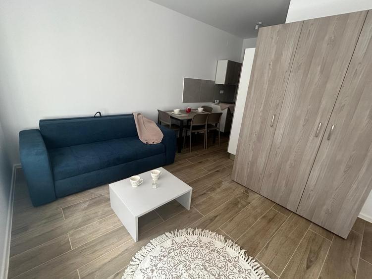 Garsoniera open space luminoasa, cu priveliste uimitoare in parcul Tineretului - 23