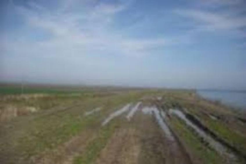 2 ha teren agricol la Cotofenii Din Fata judetul Dolj - 1