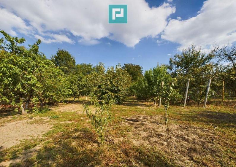 Casa cu teren 2877 mp, ora?ul Ineu - 8