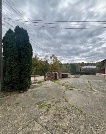 Spatiu comercial multifunctional, 1592 mp, Cacica (Pirtestii - 10