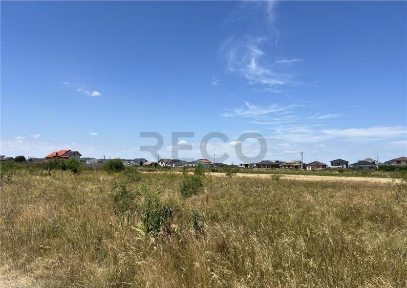 RECO IMOBILIARE,TEREN Cihei - 4