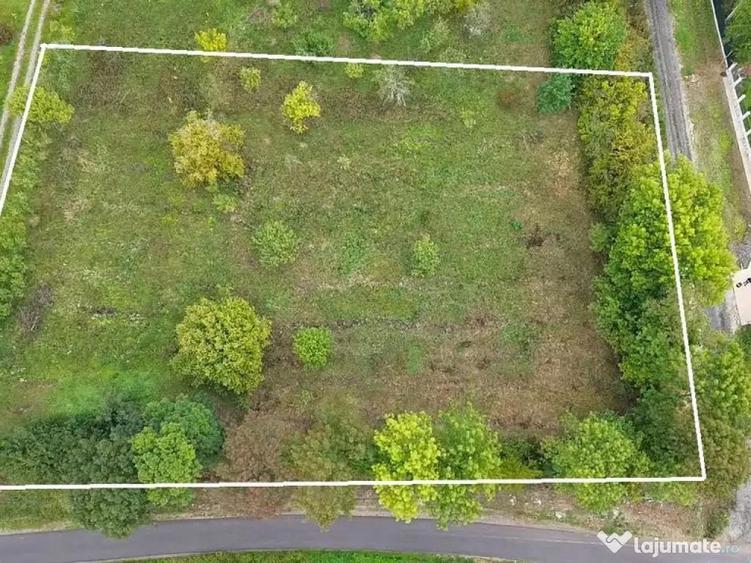 De vanzare Teren Intravilan Viile Satu Mare /Parcelabil/Z... - 3