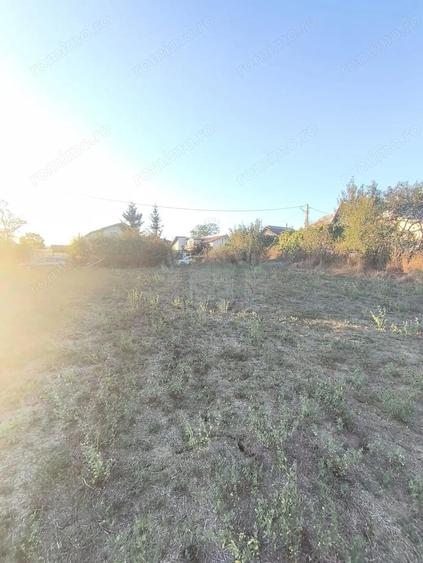 TEREN INTRAVILAN PLOPU//3000 MP - 6