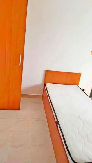 Cazare muncitori zona Girocului Elisabetin - 10