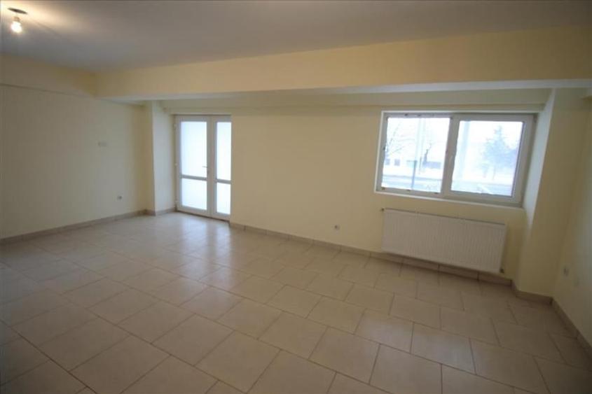 Calea Moinesti - spatiu comercial - 3