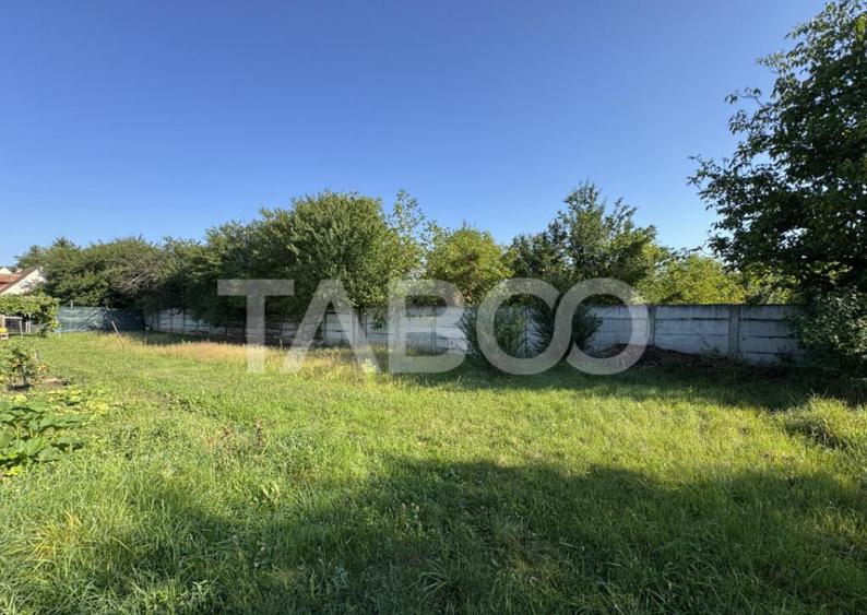 Teren intravilan 4783 mp cu toate utilitatile Turnisor Sibiu - 1