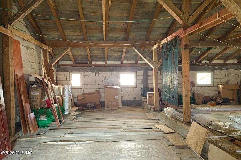 Lunei - Ion Neculce, 2 Apartamente. Mansarda 157 mp. Anexe, Lot 475 mp - 38