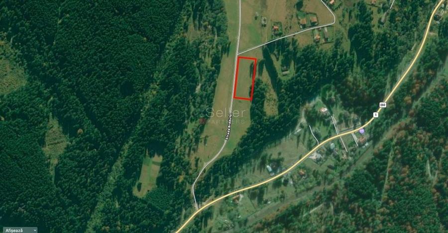 Poiana lui Manole - teren Intravilan - 4