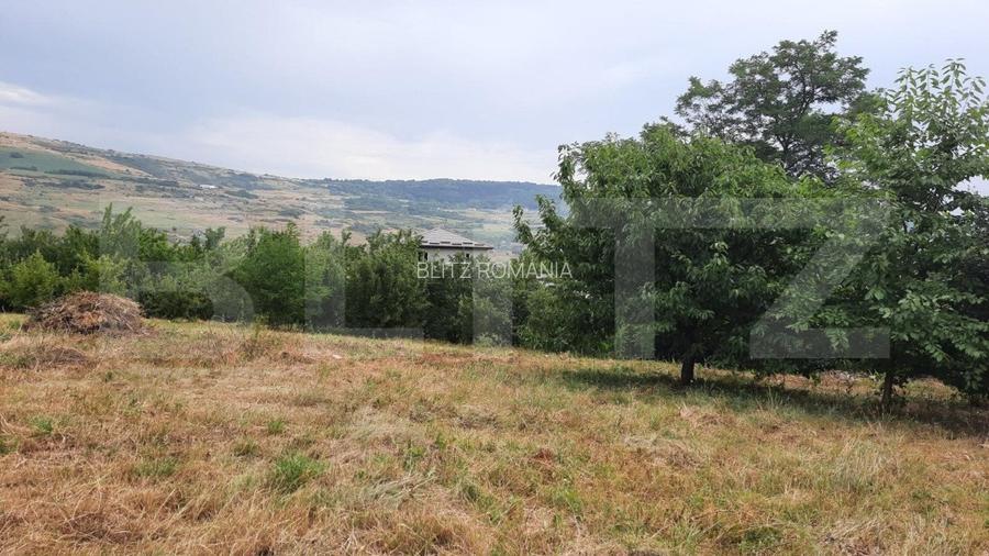 Teren intravilan construibil 2000 mp, Valea Chintaului, curti constructii! Teren intravilan construibil 2000 mp, Valea Chintaului, curti constructii!