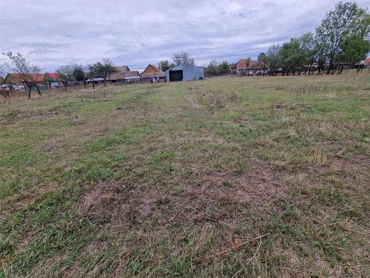 Sosdea 2 Case cu Teren 4657 Mp. - 5