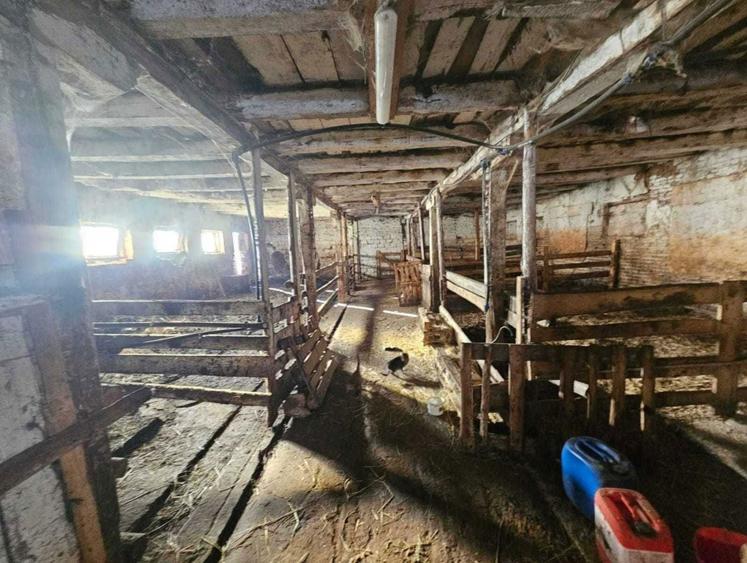 Teren intravilan, grajd - 2