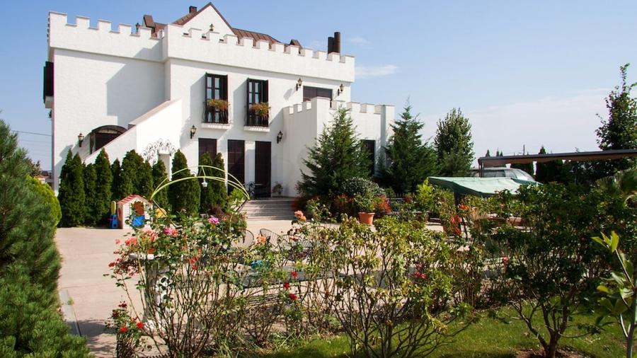 REV2000904 Vila spectaculoasa - zona Cernica - 4