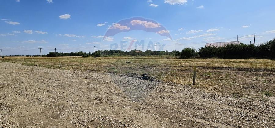 Terenuri intravilane Frumușani – Preț excelent, investiție sigură! - 4