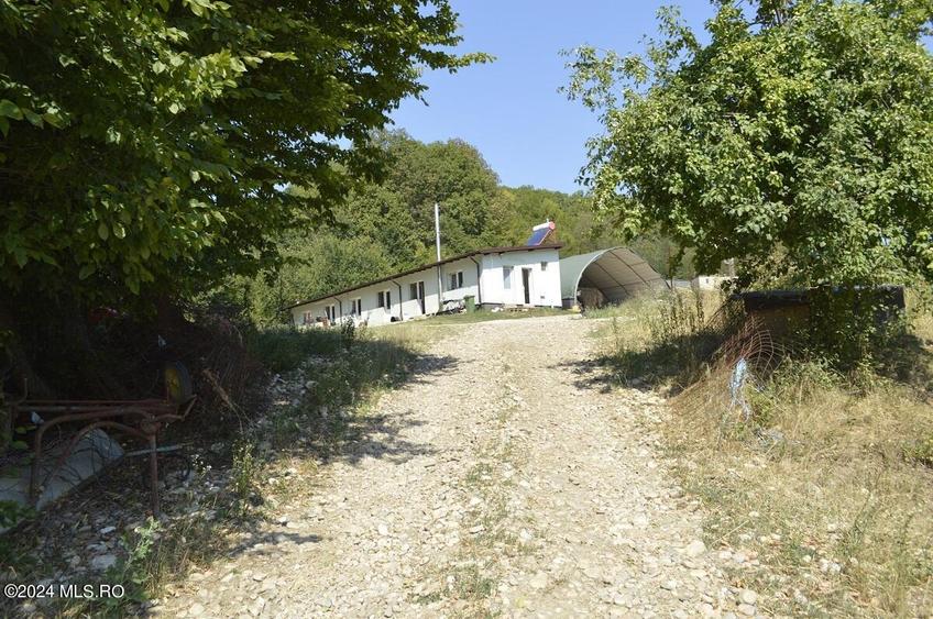 Bogati - Glimbocel, ferma zoo, cladiri autorizate DSV, teren 8766 mp! - 18