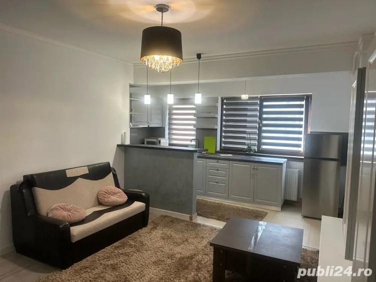 Apartament de inchiriat 350 - 1