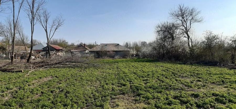 Casa la tara cu teren curte mare - 1