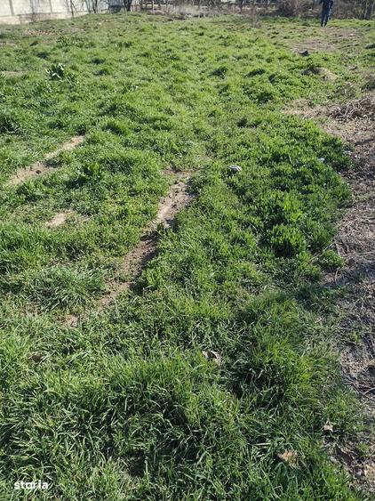Teren intravilan de vanzare, acces asfaltat - 4