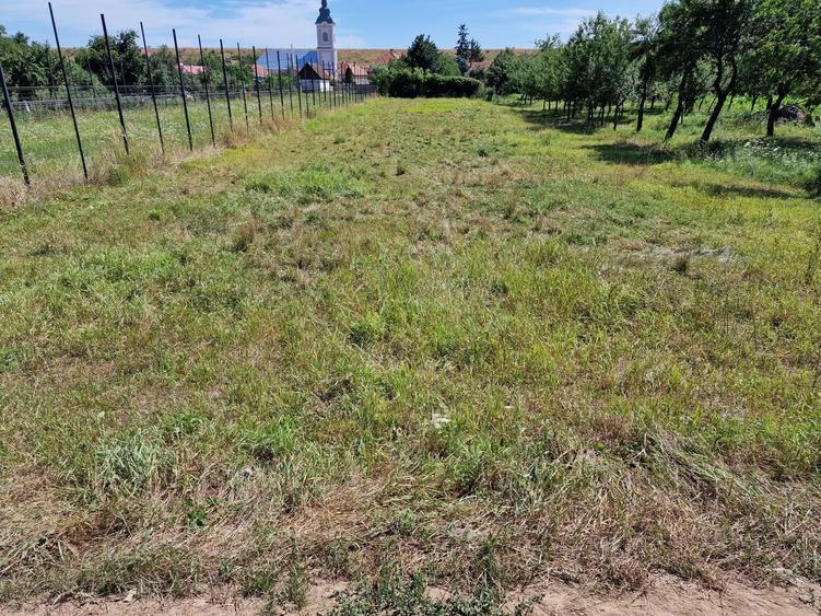 Teren intravilan de vanzare Uileacu de cris - 5