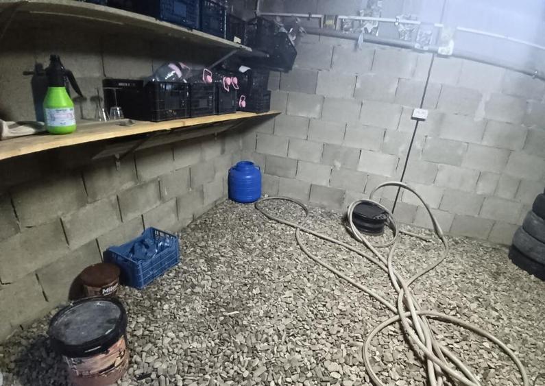 Casa in Mitocul Dragomirnei - 7