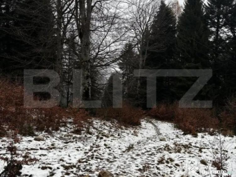 Teren unic, exclusivist 4000 mp, in inima muntilor, Sinaia - 3