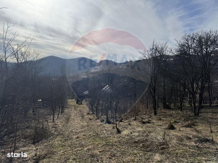 Teren intravilan 1.271 mp Izvoarele, jud. Alba - 3