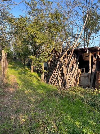 Galbinasi - jud. Calarasi, casa vanzare - 6