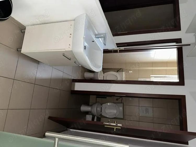 Theodor Pallady stradal birou 410 mp utili LIBER - 14