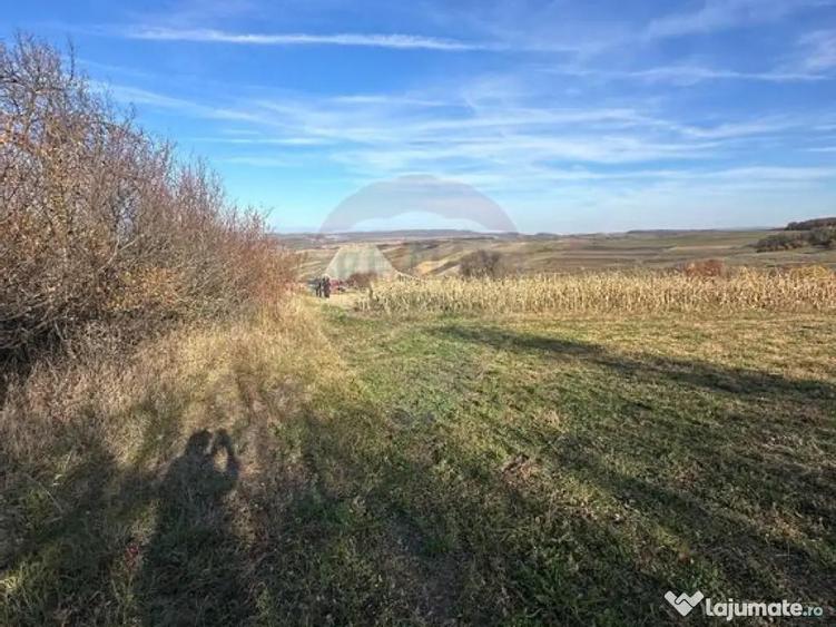 DE VANZARE - teren in ograda - 1