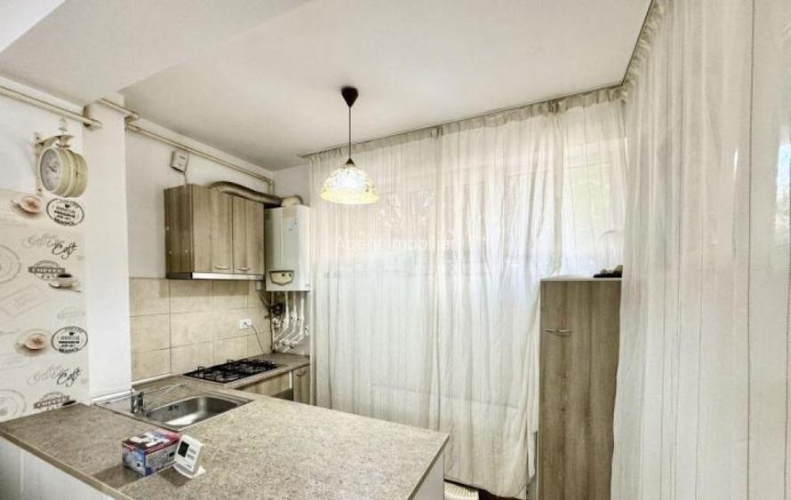 Dimitrie leonida demisol studio pet friendly