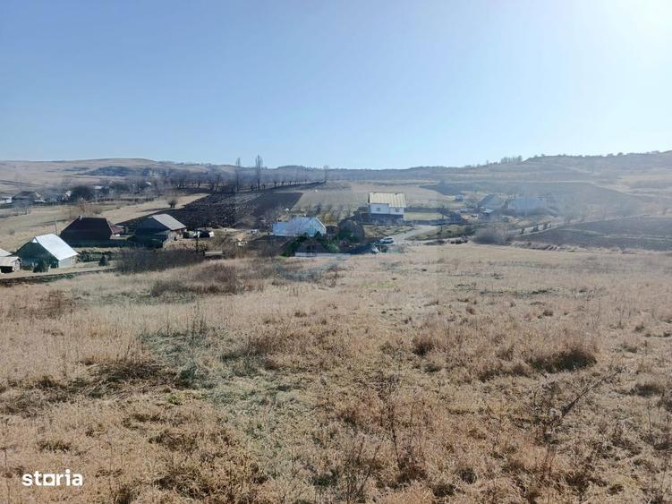 Teren de vanzare Mihae?ti . - 6