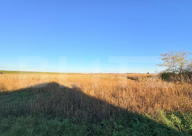 Teren intravilan 1.130 mp ,in Vetis - 2