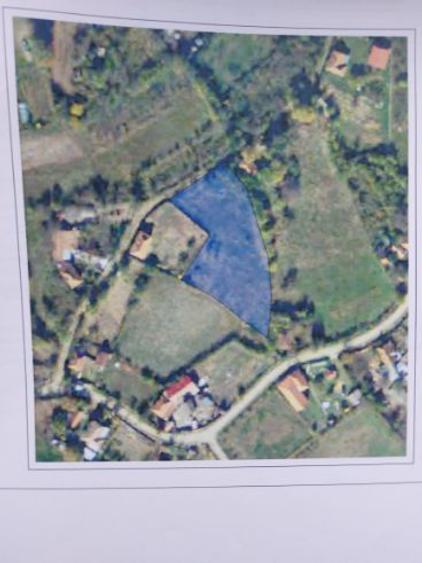 Vând teren intravilan, în vatra satului, zona de munte.  - 1