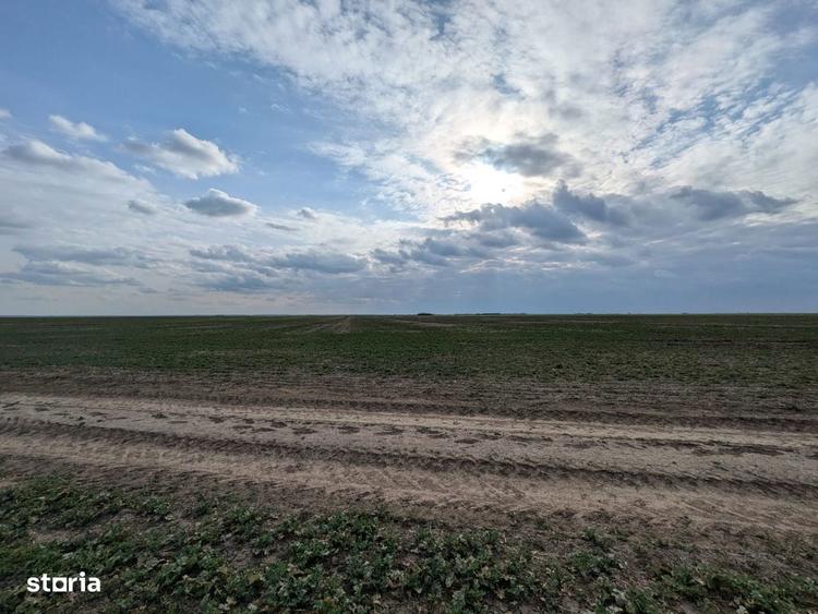 Loturi intravilane 300 mp, la 10 km de Centura Sud Bucure?ti - 5