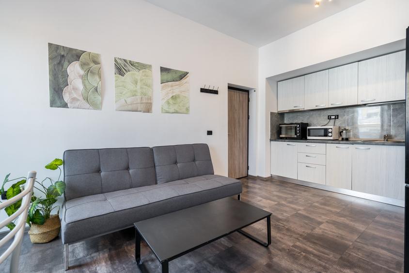 Unirii / Calea Victoriei: Sleek Large Apartment – 105 m² SU | AN541-11F - 14