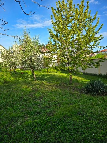 Casă deosebită de vânzare în Timișoara – Zona Pomiculturii, 750 / 225 mp utili - 15