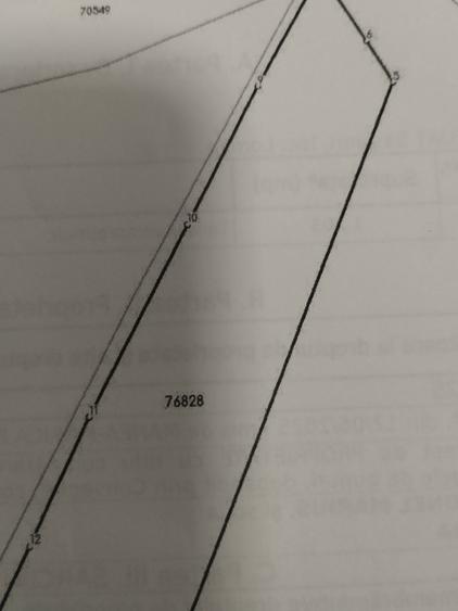 Teren de vanzare in Valea Tonii - 2