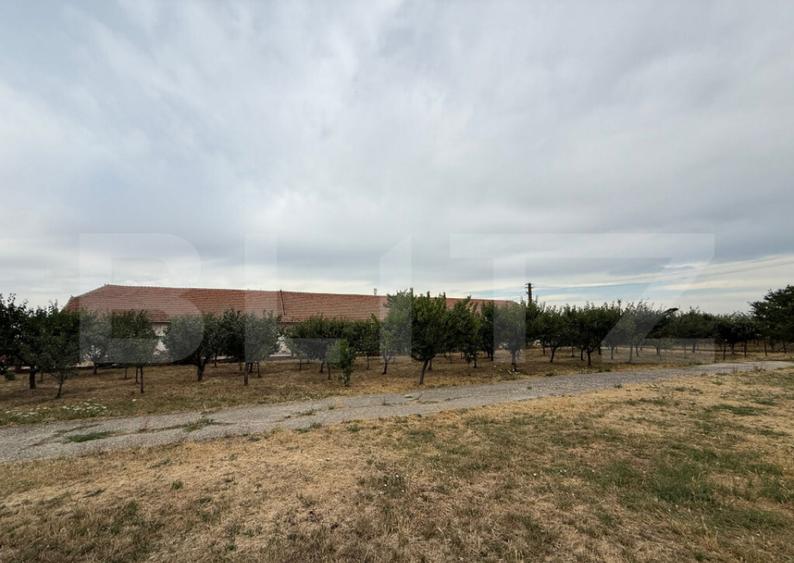 Ferma de Vanzare in judetul Timis, la nord est de Timisoara, - 33