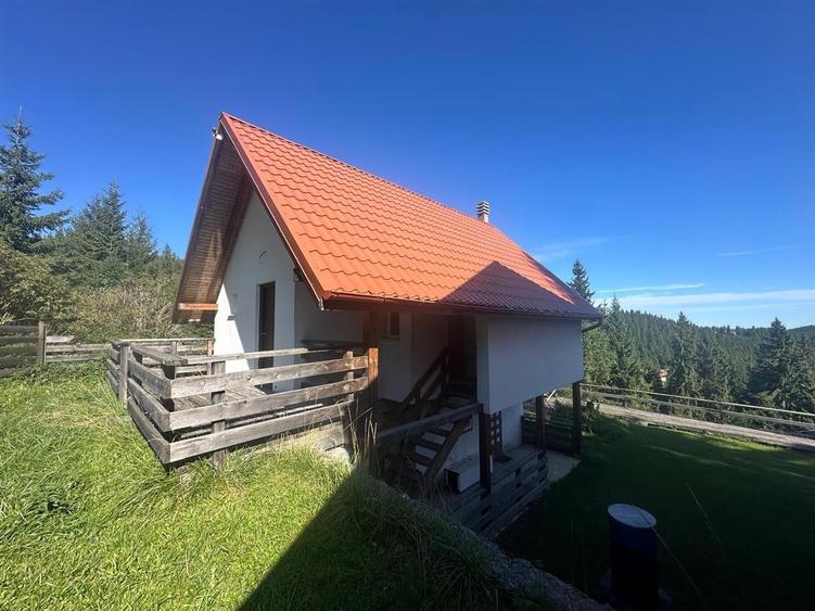 Comision 0% I Casă de vânzare I Teren 320 Mp I Stațiunea  Muntele Băișorii - 1