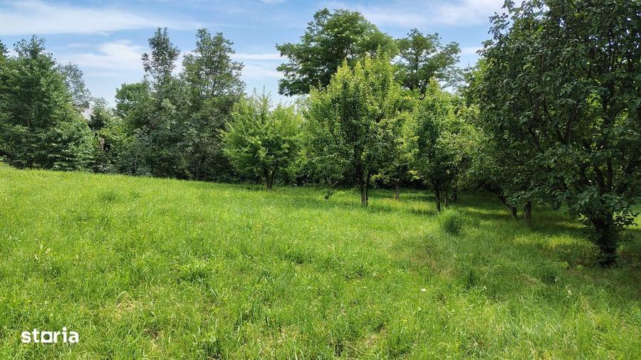 De vanzare 3159 mp TEREN INTRAVILAN Vatra Sat, oras Comarnic 40Euro/mp - 1