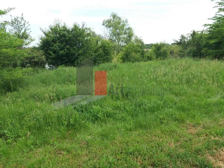 Teren Buftea cu iesire la lac - 17