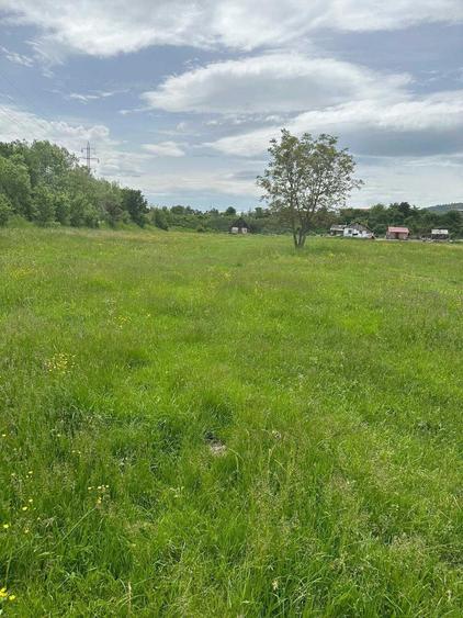 Teren de vanzare sighet - 3