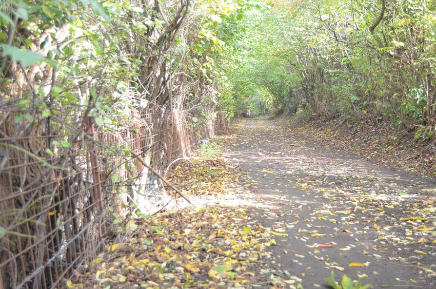 Teren intravilan Brasov-Schei - 7