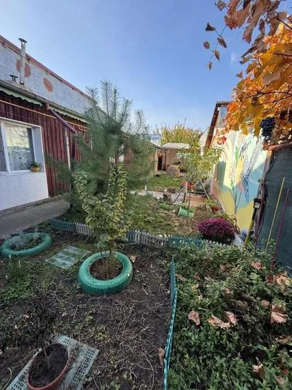 Casa de vanzare Zona Arcasilor P+M - 16