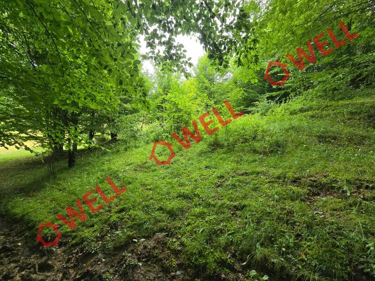 De vânzare teren extravilan loc. Sărămaș - 3