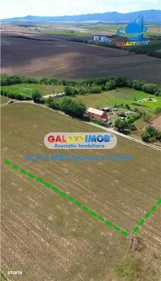 Teren De Vanzare Feldioara Utilitati In Apropiere - 5
