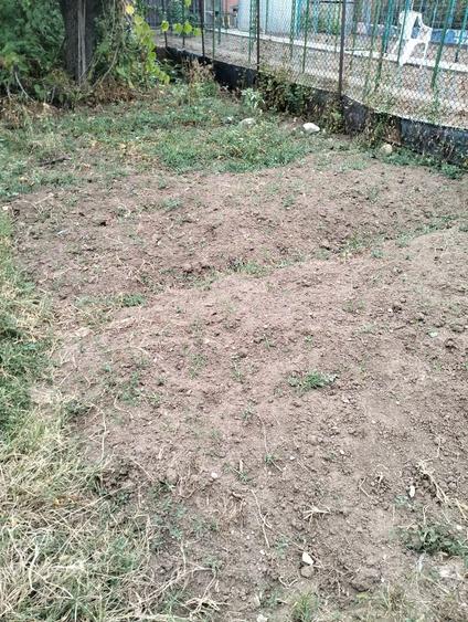 Vand teren intravilan, central, Str. Dorobanti, in Dr. Tr.Severin - 4