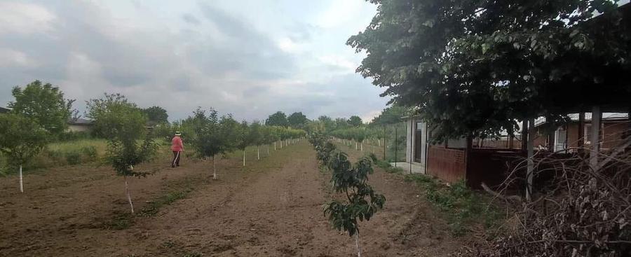 Casa 5 camere cu livada 2200 mp- Varasti - 4