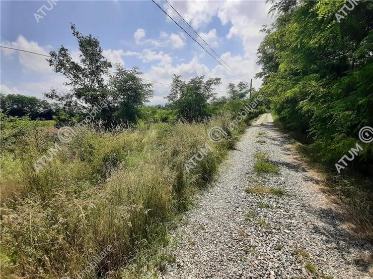 Teren Intravilan pe Valea Avrigului loc Avrig suprafata 7100 mp - 3